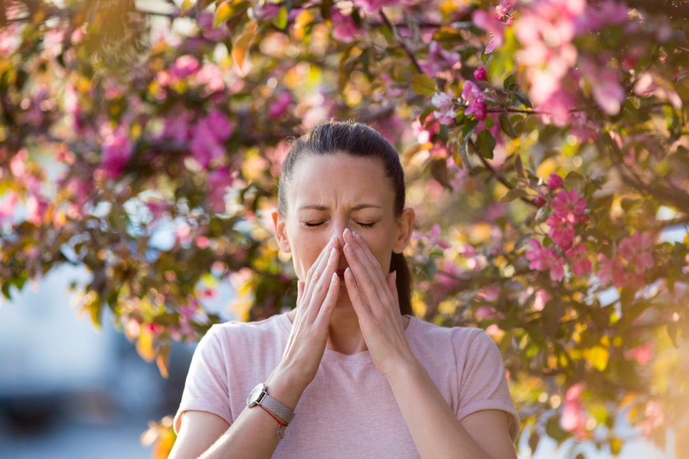 Allergy Testing in Frisco